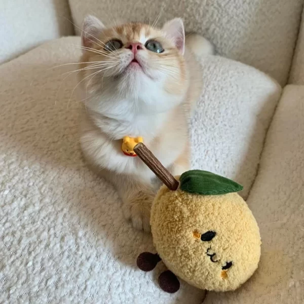 Cat Playing with Clawcove Potato Silvervine Cat Toy - Chewing Fun and Dental Cleaning Cat chewing on Clawcove Potato Silvervine Cat Toy, using it to clean teeth and enjoy playful interaction.