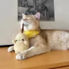 Cat chewing and playing with Clawcove Red Mushroom Silvervine Cat Toy, enjoying stress relief and dental care.