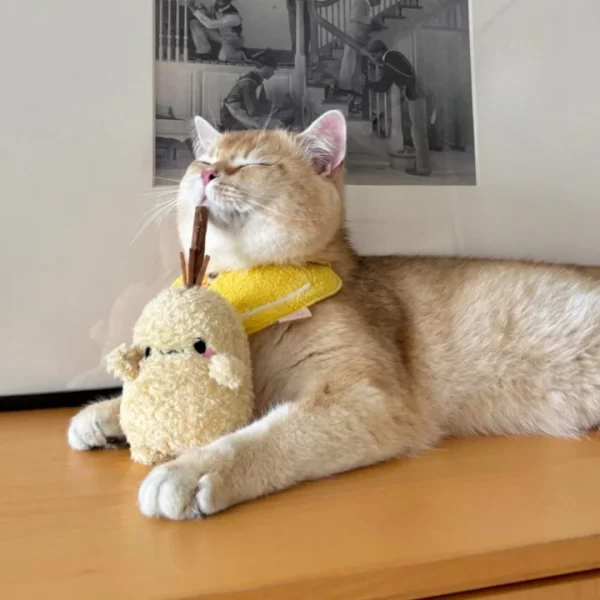Cat Chewing on Clawcove Red Mushroom Silvervine Cat Toy - Fun, Chewing, and Dental Health Cat chewing and playing with Clawcove Red Mushroom Silvervine Cat Toy, enjoying stress relief and dental care.