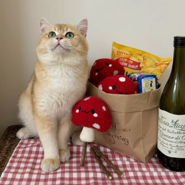 Cat Chewing on Clawcove Red Mushroom Silvervine Cat Toy - Fun, Chewing, and Dental Health Cat chewing and playing with Clawcove Red Mushroom Silvervine Cat Toy, enjoying stress relief and dental care.