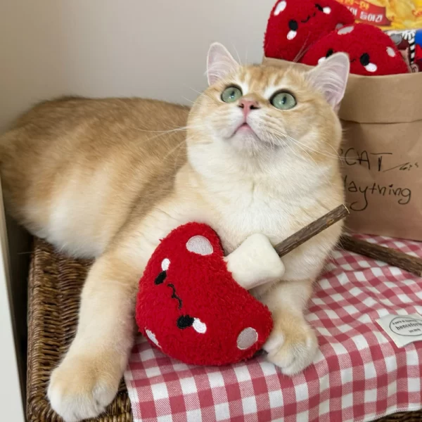 Cat Chewing on Clawcove Red Mushroom Silvervine Cat Toy - Fun, Chewing, and Dental Health Cat chewing and playing with Clawcove Red Mushroom Silvervine Cat Toy, enjoying stress relief and dental care.