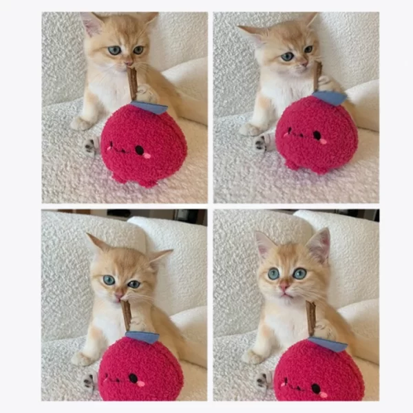 Cat Playing with Clawcove Onion Silvervine Cat Toy - Fun and Chewing Action Cat playing with Clawcove Onion Silvervine Cat Toy, chewing and enjoying its durable plush design.