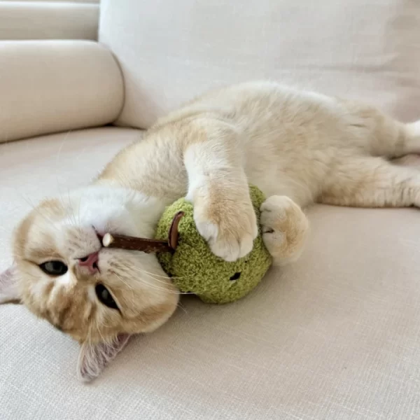Kitten Playing with Clawcove Lemon Silvervine Cat Toy - Chewing and Interactive Fun Kitten chewing and playing with Clawcove Lemon Silvervine Cat Toy, enjoying its soft and bite-resistant design.