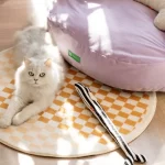 Spring Soft Cat Sofa in Living Room