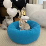 Dopamine Sesame Street Cat Bed in Living Room