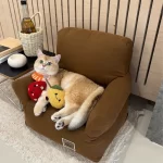 Little Cat Sofa Bed – Perfect for Small Cats