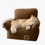 Little Cat Sofa Bed for Small Cats