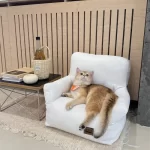 Modern Design of Little Cat Sofa Bed