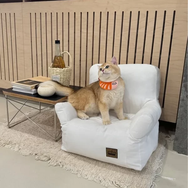 Modern Design of Little Cat Sofa Bed