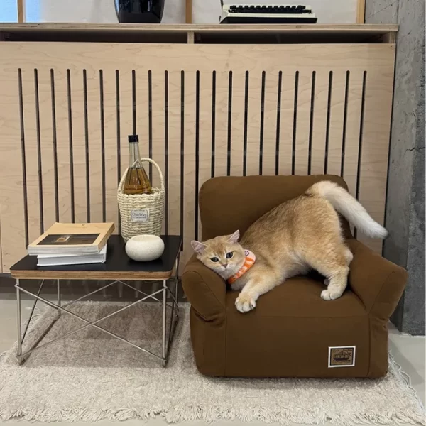 Little Cat Sofa Bed in Living Room