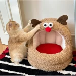 Soft Interior of Moose Mongolian Tent