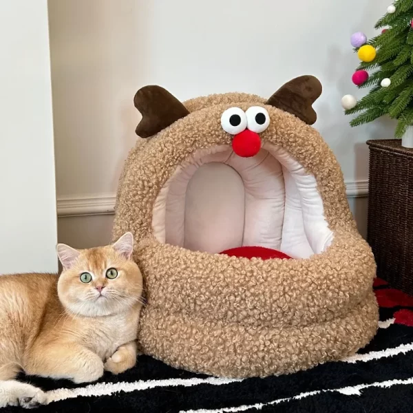 Moose Mongolian Tent in Living Room