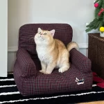 Red Plaid Sofa in Living Room