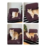 Red Plaid Sofa Material Close-up