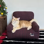 Red Plaid Sofa Material Close-up