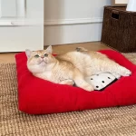Heart-shaped Cushion in Cat Bed