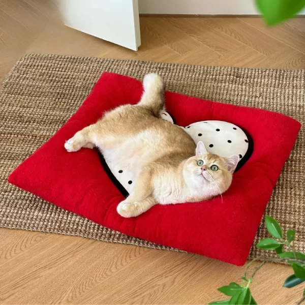 Heart-shaped Cushion as a Cat Pillow