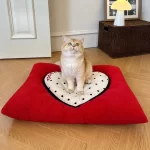 Heart-shaped Cushion Close-up