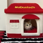 A cozy tabby cat snuggled up inside the McDonald's-themed pet bed, enjoying a restful nap.