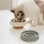 A cat eating from the ceramic slow feeder bowl, enjoying a healthier mealtime.