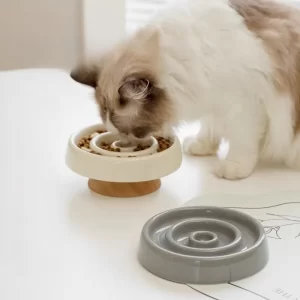 A cat eating from the ceramic slow feeder bowl, enjoying a healthier mealtime.