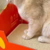 Side view of the cat scratcher bed with a 3D cheesy fries shape.