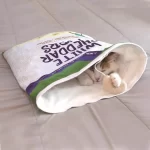 A cat playing inside the crinkle sack, enjoying the rustling sound.