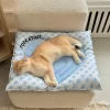 Healing Heart Cooling Mat – Natural Physical Cooling for Your Pet’s Comfort and Rest