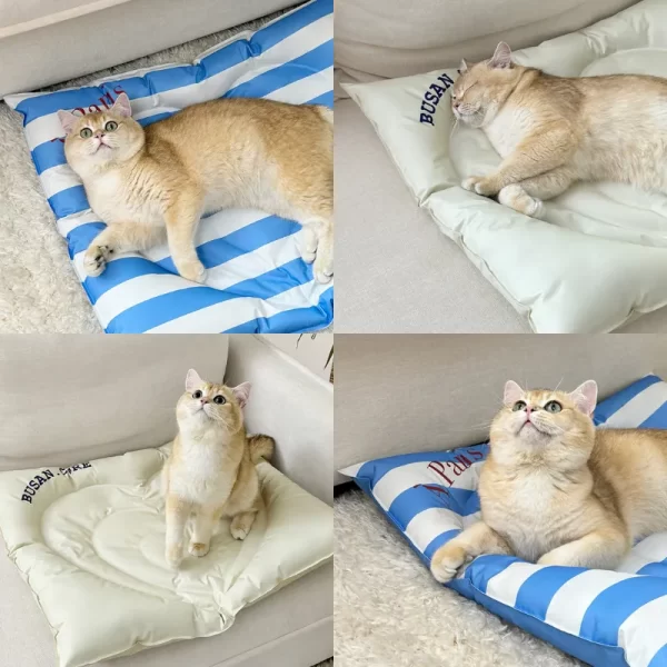 Healing Heart Cooling Mat – Natural Physical Cooling for Your Pet’s Comfort and Rest
