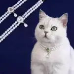 Double-layer pearl necklace with a gemstone pendant for cats and small dogs.