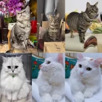 A cat wearing the pearl and gemstone necklace, looking elegant and regal.